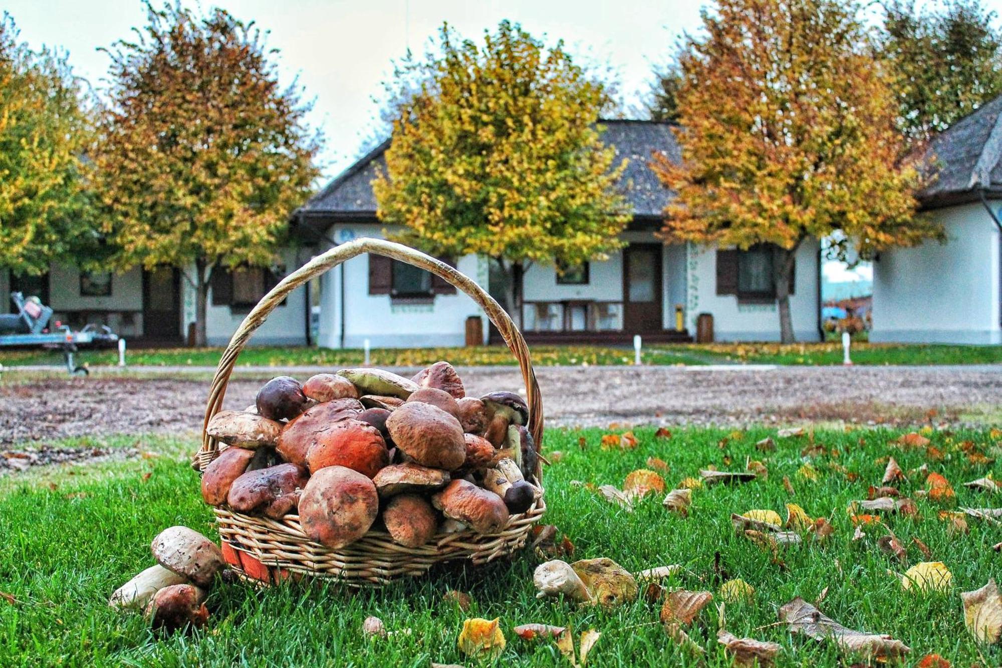 Bereg Holiday Park Svetlogorskoye Exteriör bild